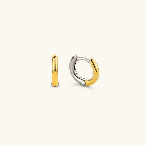 [Royal&Vicky]Ingrid Two Tone Hoop Earring