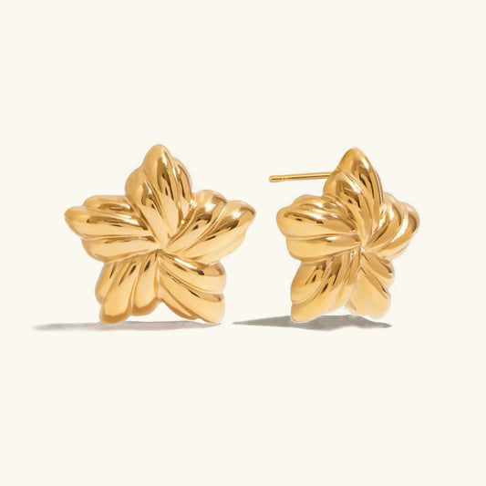 [Royal&Vicky]Thymes Gold Star Earrings