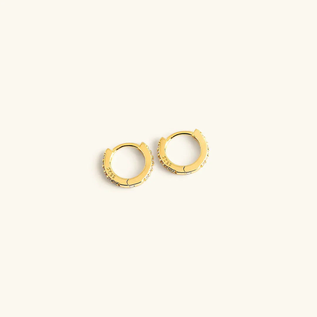 [Royal&Vicky]テラハギーピアス