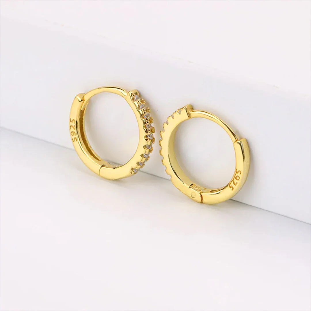 [Royal&Vicky]テラハギーピアス